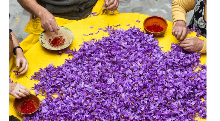 Get all the Health Benefits of Saffron